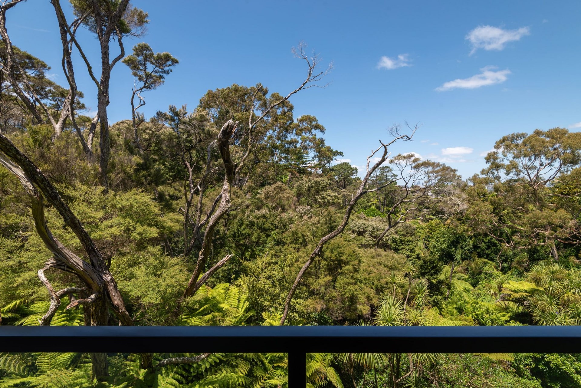 Birkenhead, 4 bedrooms